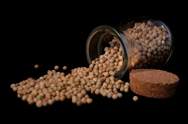Cómo seleccionar el mejor exfoliante corporal para tu piel