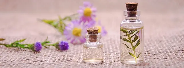 10 Ingredientes Esenciales para Potenciar tu Rutina de Belleza