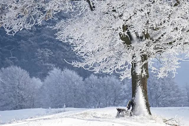 Los mejores consejos para mantener una piel radiante durante el invierno
