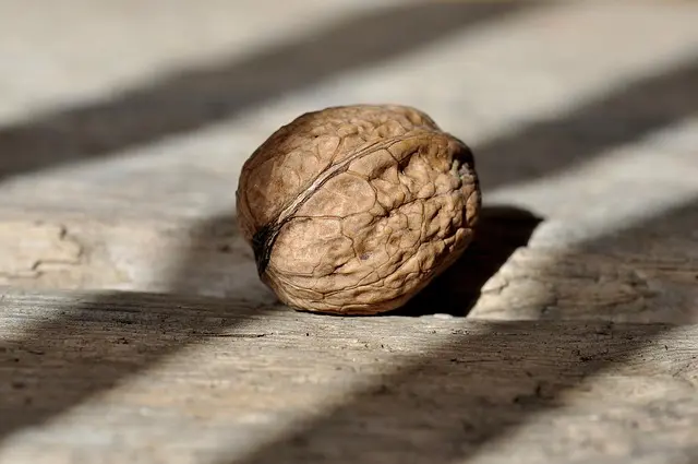 Cómo elegir el mejor maquillaje natural para cada tipo de piel