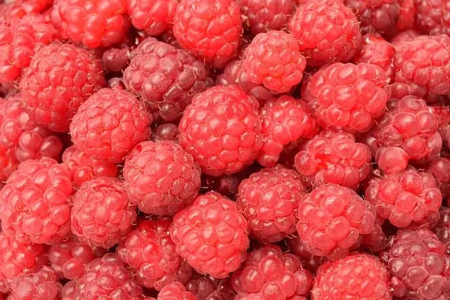 10 Consejos Esenciales para una Piel Radiante y Saludable