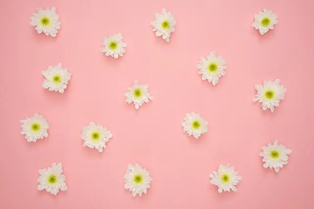 5 Consejos para Elegir el Mejor Tónico Facial para Tu Piel