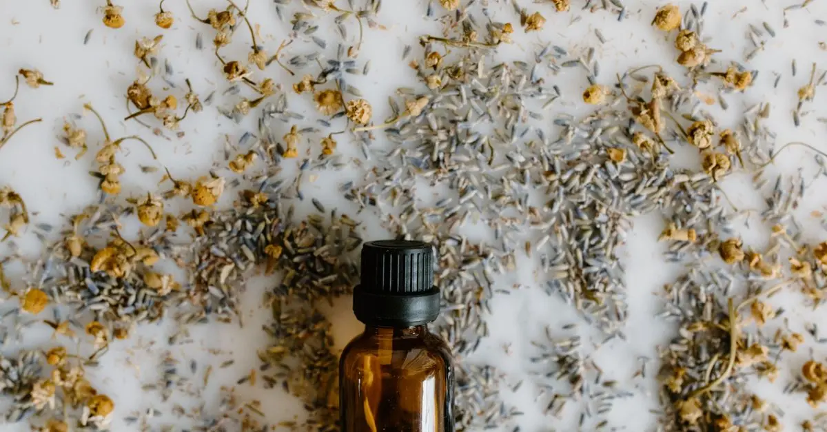 10 ingredientes naturales que transformarán tu rutina de belleza