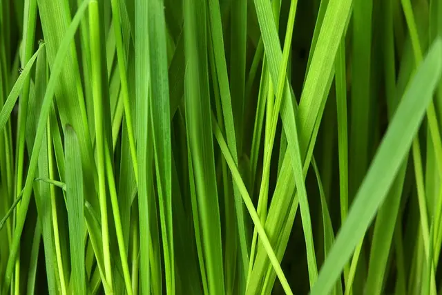Cómo elegir el mejor maquillaje ecológico para tu piel
