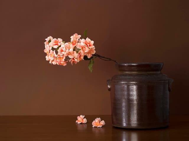 Todo lo que necesitas saber sobre los ingredientes naturales en belleza