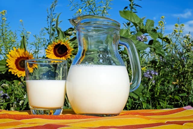 Cómo seleccionar el mejor sérum facial para una piel radiante