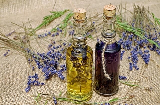 Todo sobre los beneficios del aceite de jojoba para la piel